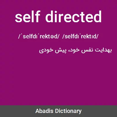 معنی self directed